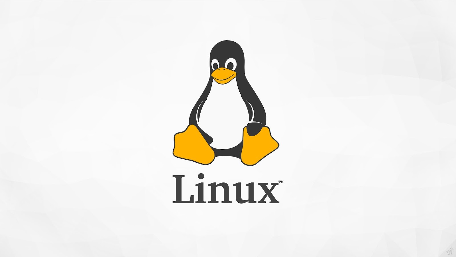 Linux Basic 