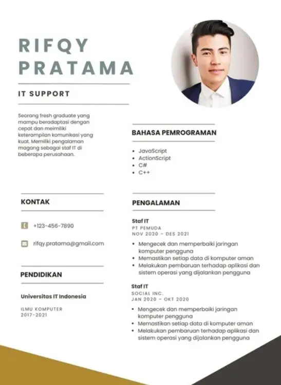Contoh CV IT Developer yang menampilkan pengalaman dan skill teknis secara terstruktur dan profesional