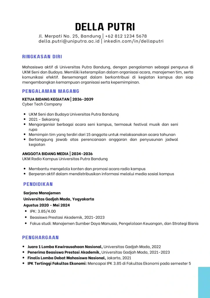 CV Mahasiswa Fokus Freelance / Portofolio