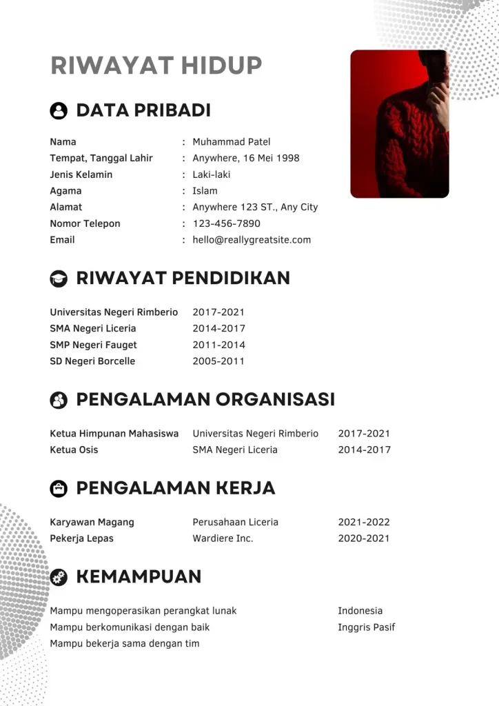 contoh cv riwayat hidup