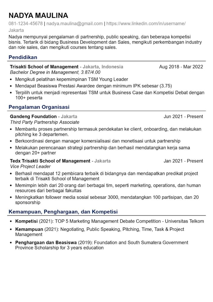 Contoh CV ATS Friendly Bahasa Indonesia