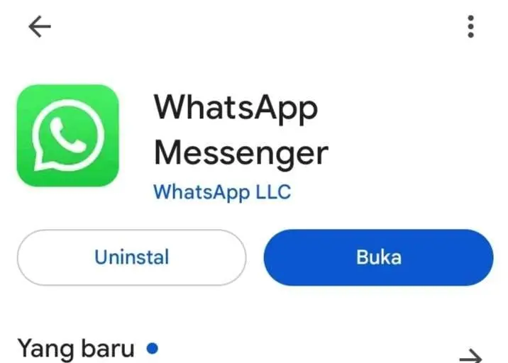 Bagaimana Cara Mengembalikan WhatsApp yang Hilang di Android