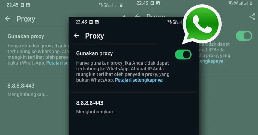 apa itu proxy whatsapp