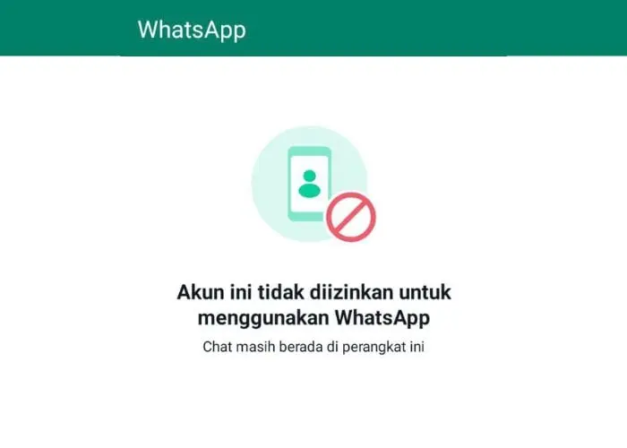 penyebab whatsapp tidak bisa dibuka