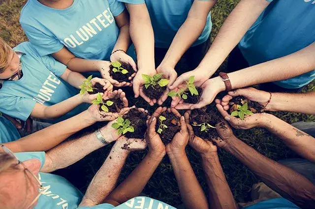 Bagaimana Tips Memilih Program Volunteer