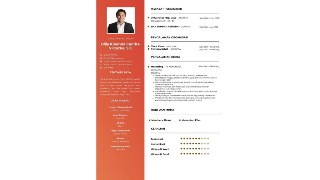 Contoh CV Digital Marketing Performance Marketing (Ads)