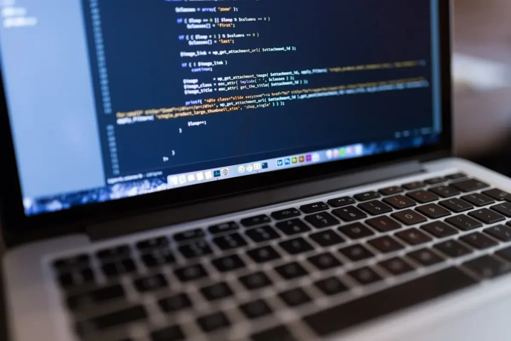 Perbedaan Programmer vs Developer